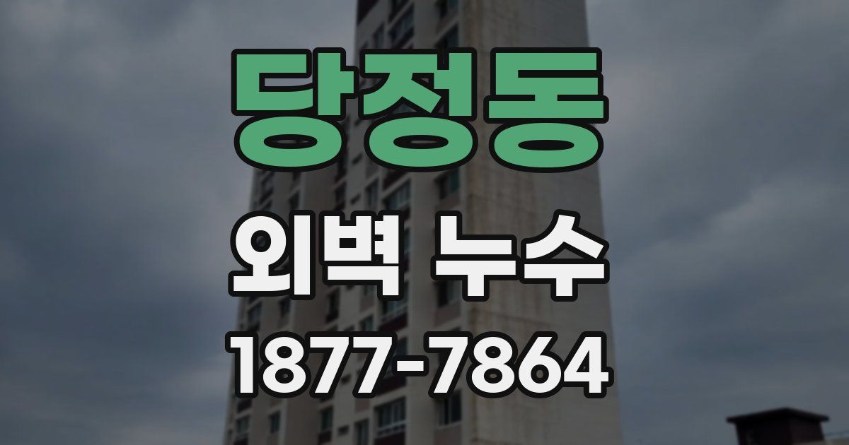 당정동 외벽 누수