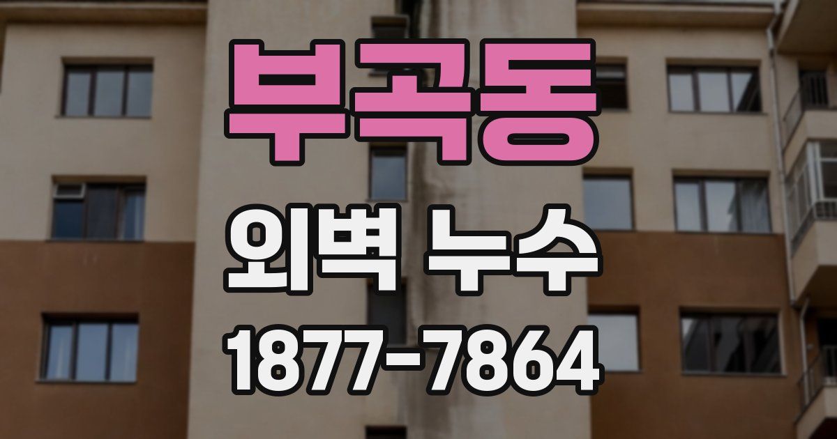 부곡동 외벽 누수