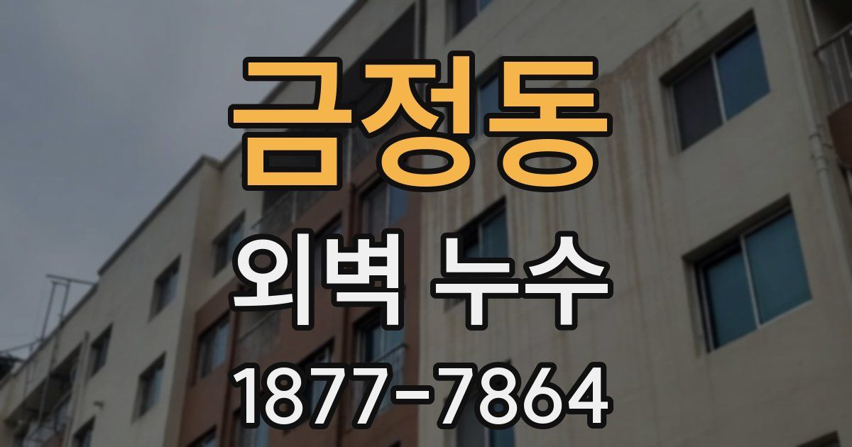 금정동 외벽 누수