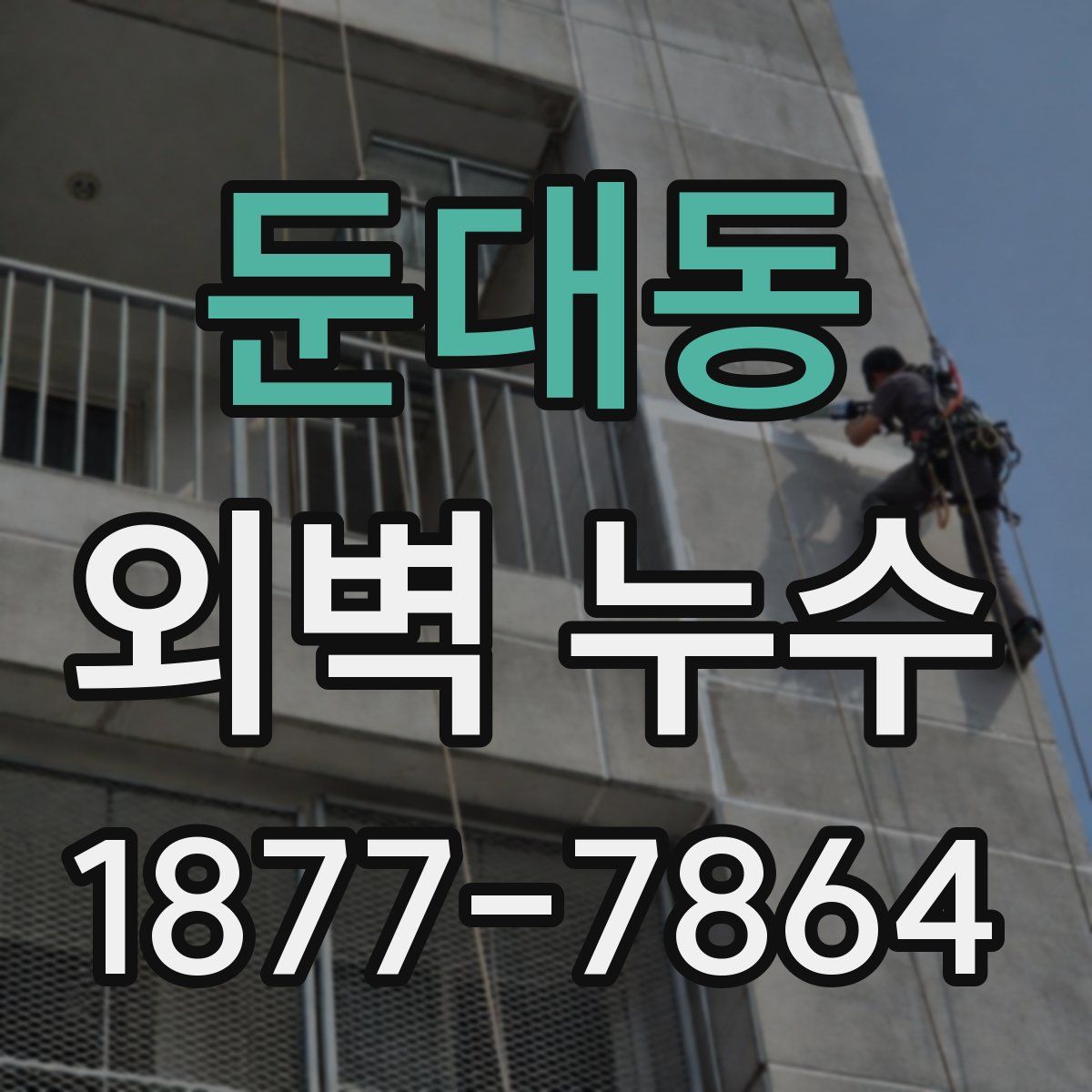 둔대동 외벽 누수