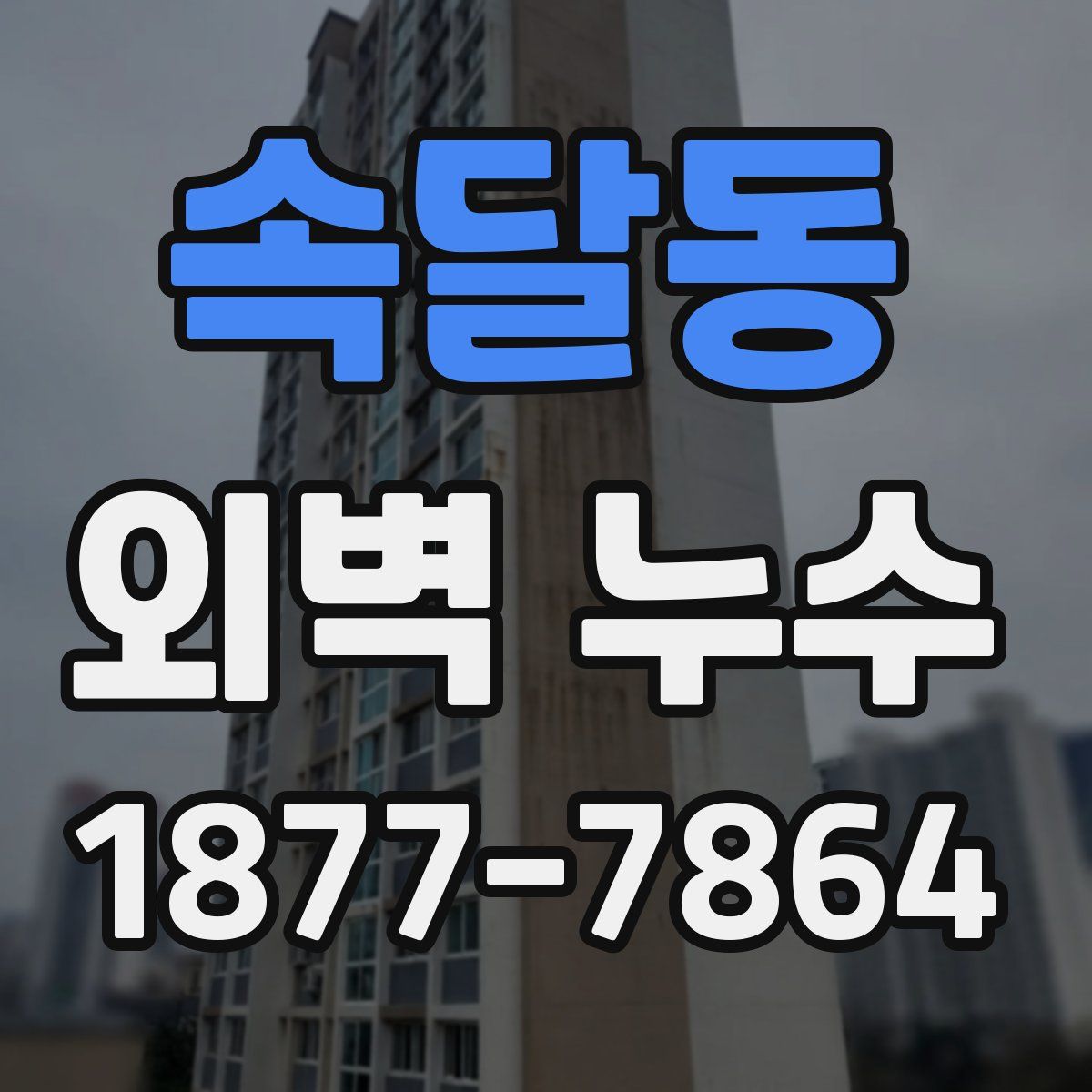 속달동 외벽 누수
