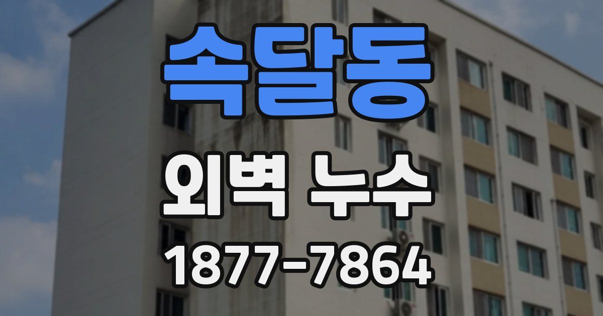 속달동 외벽 누수