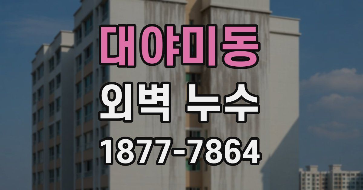 대야미동 외벽 누수