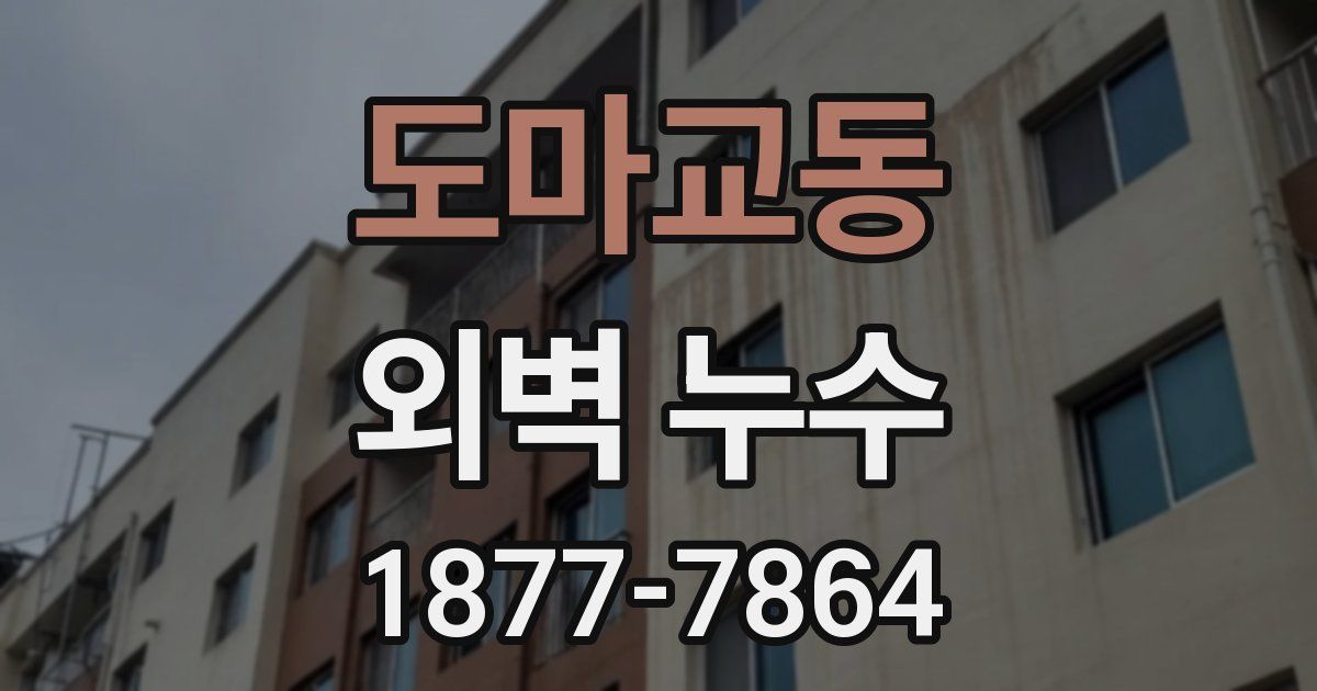도마교동 외벽 누수