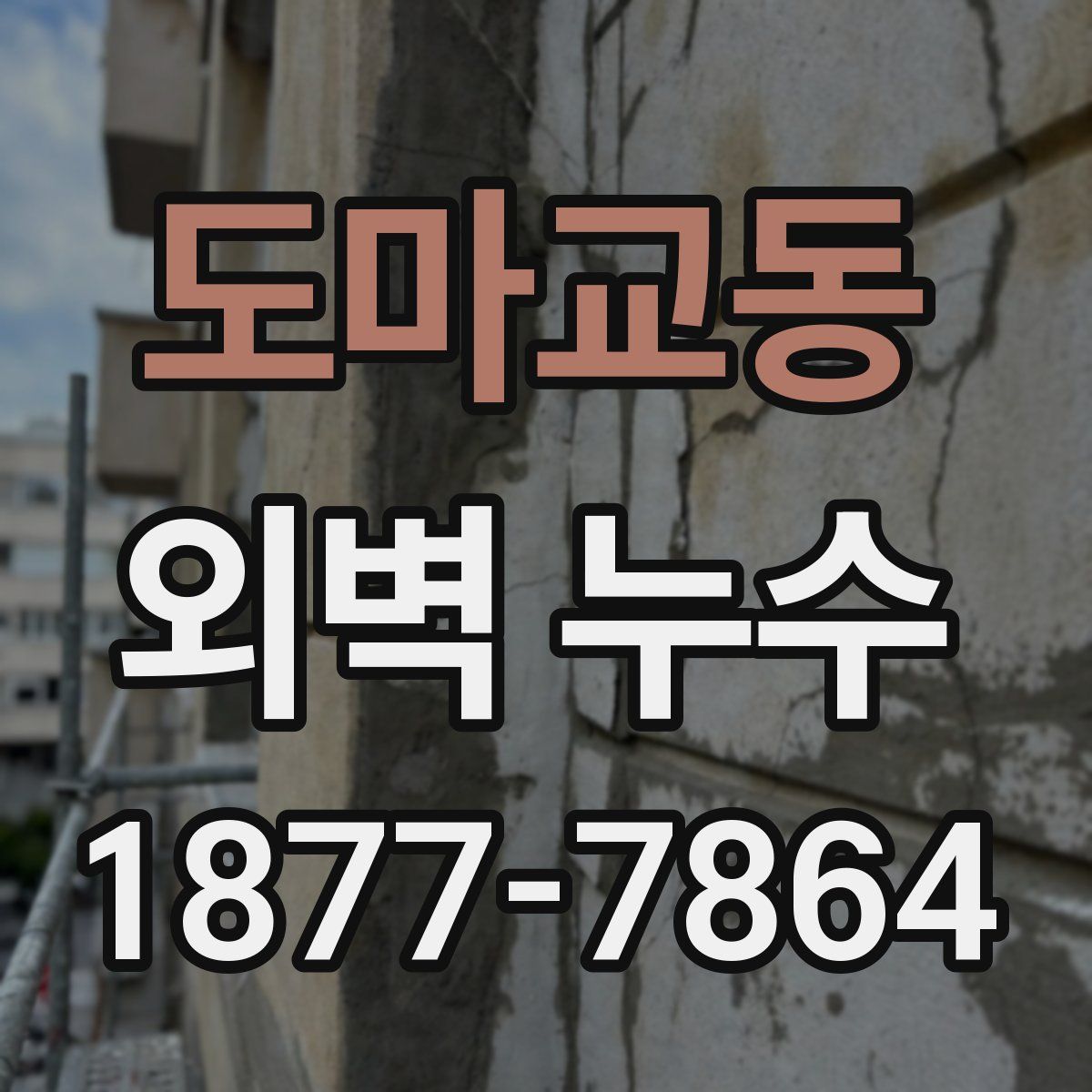 도마교동 외벽 누수