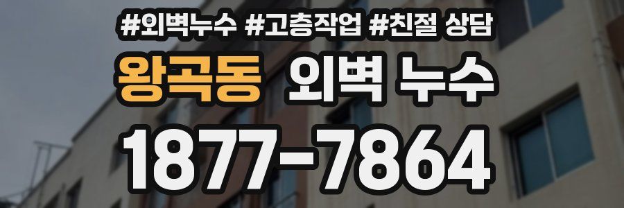 왕곡동 외벽 누수