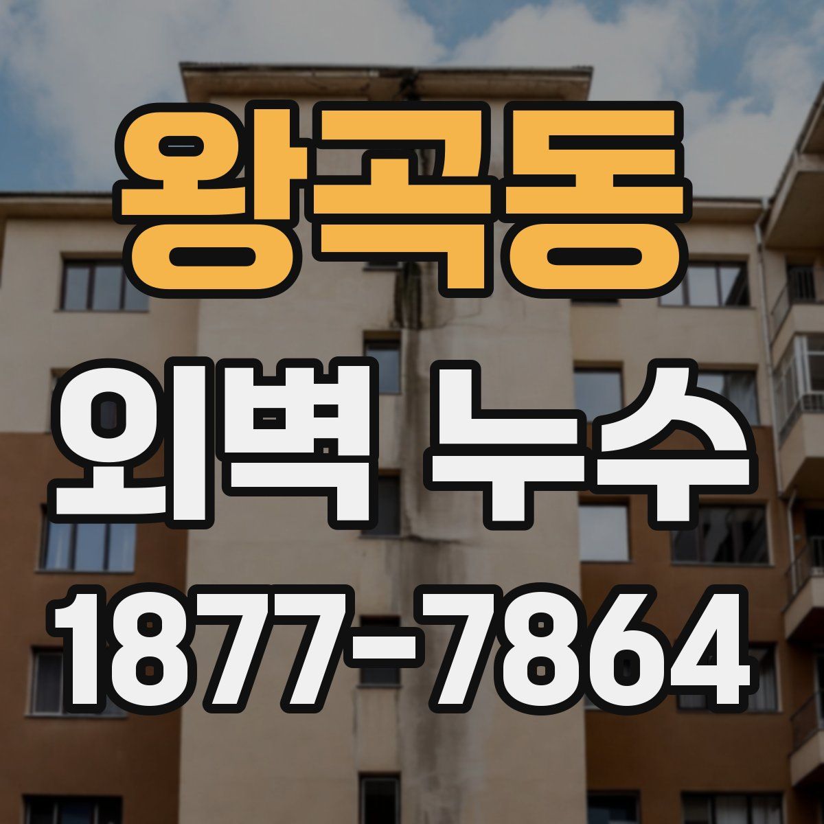 왕곡동 외벽 누수