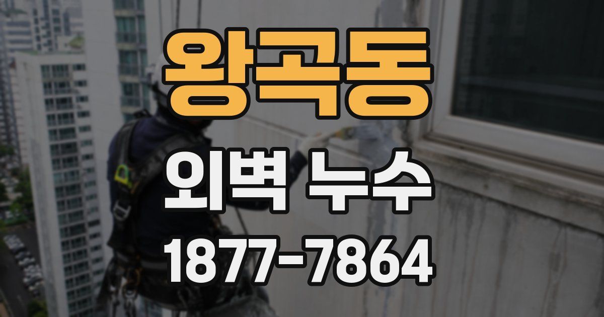 왕곡동 외벽 누수