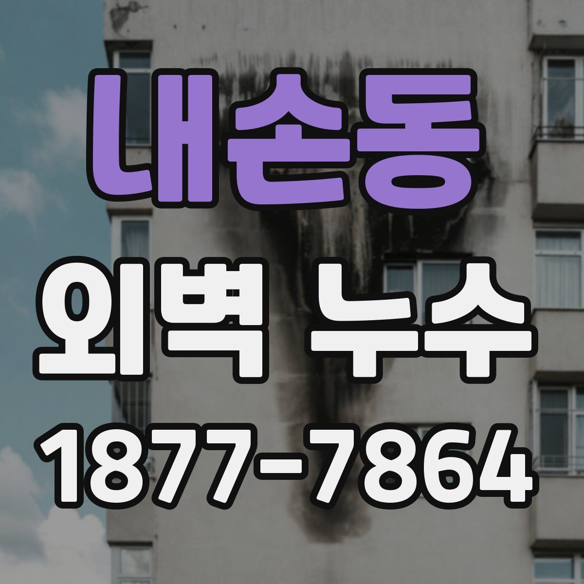 내손동 외벽 누수