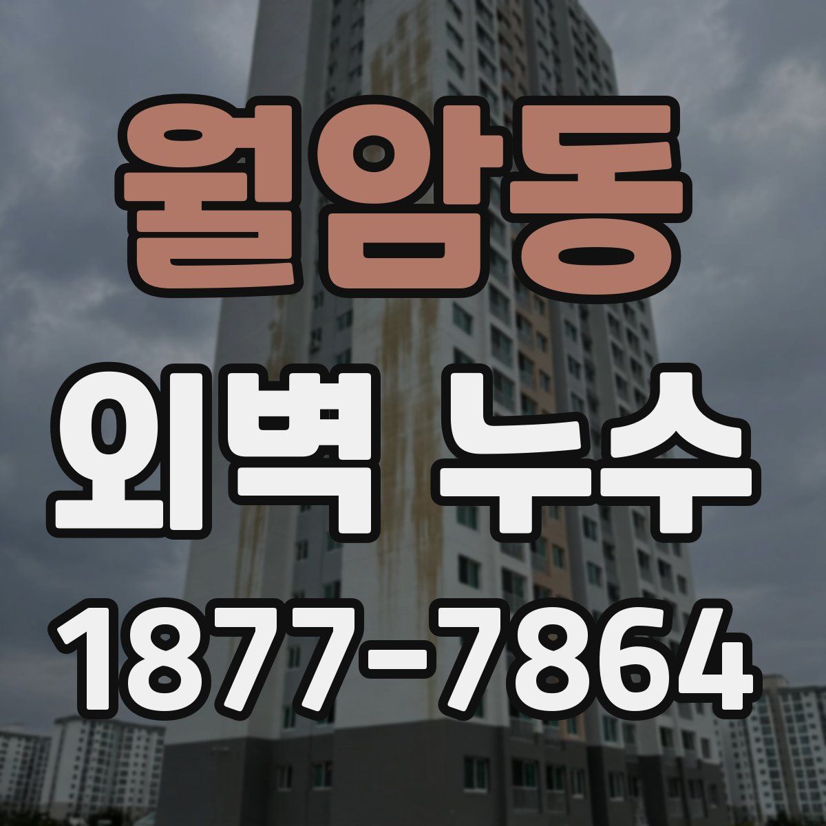 월암동 외벽 누수
