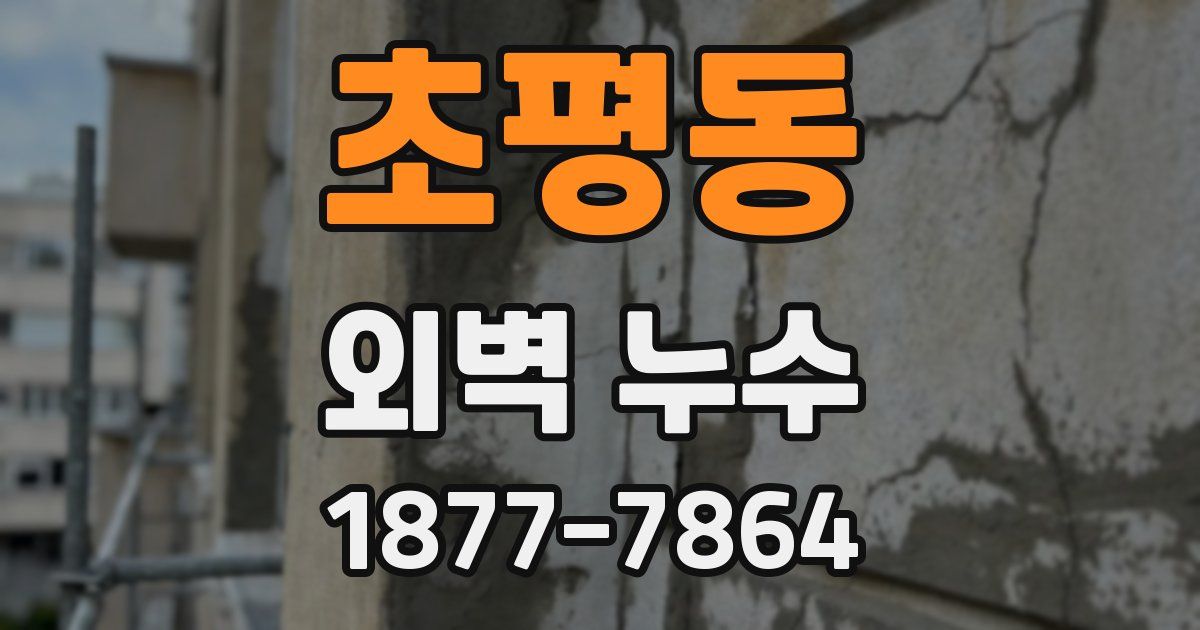 초평동 외벽 누수