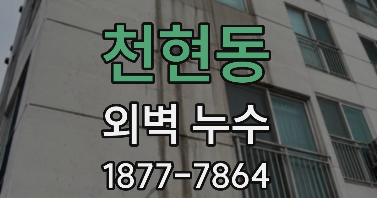 천현동 외벽 누수