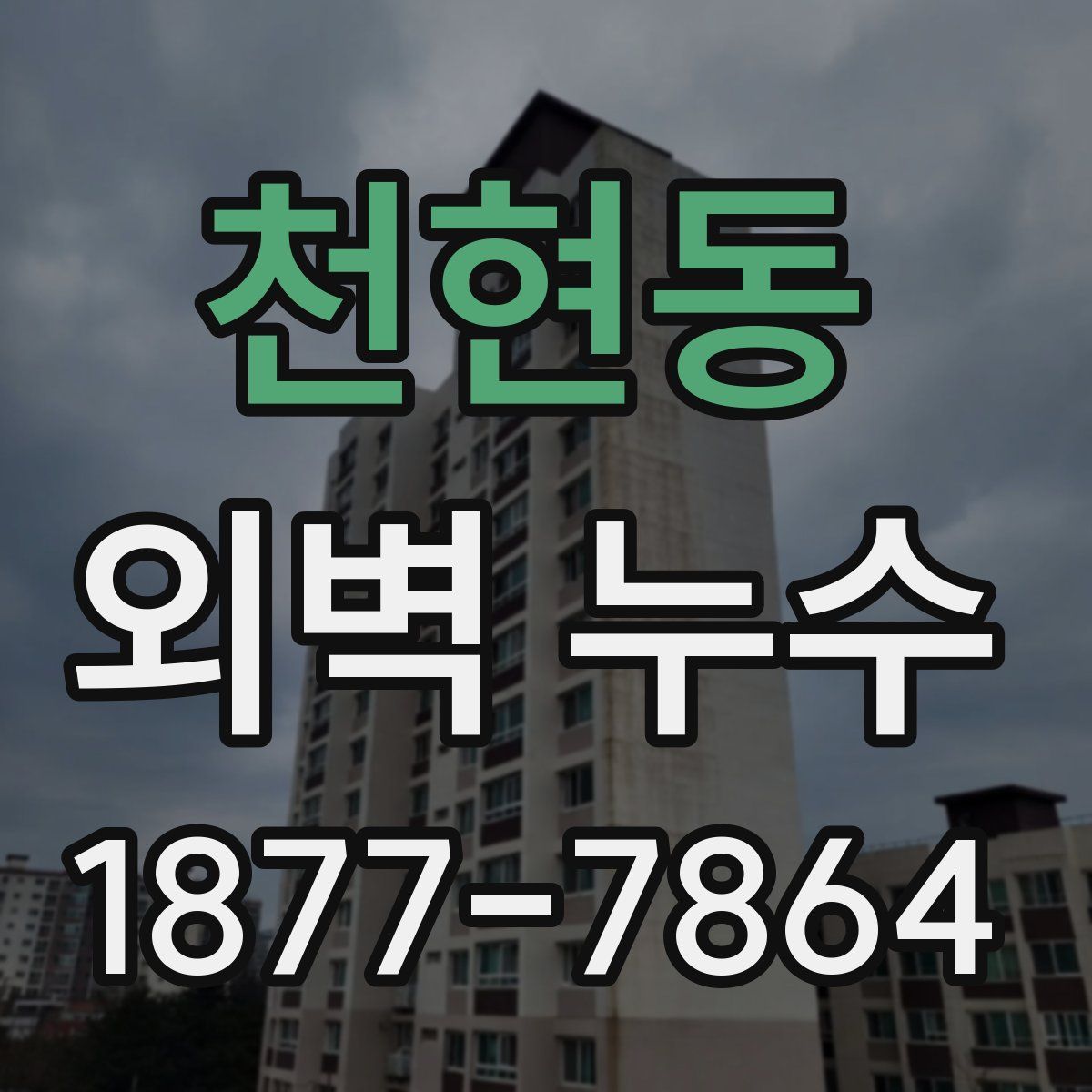천현동 외벽 누수