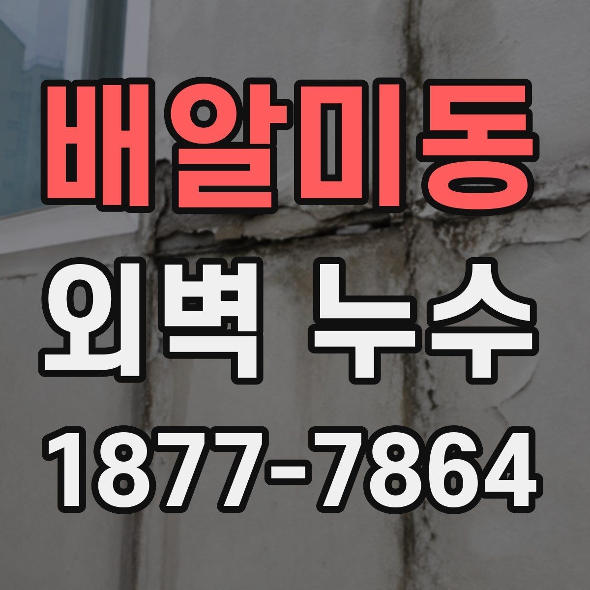 배알미동 외벽 누수 보수 시 자주 묻는 질문