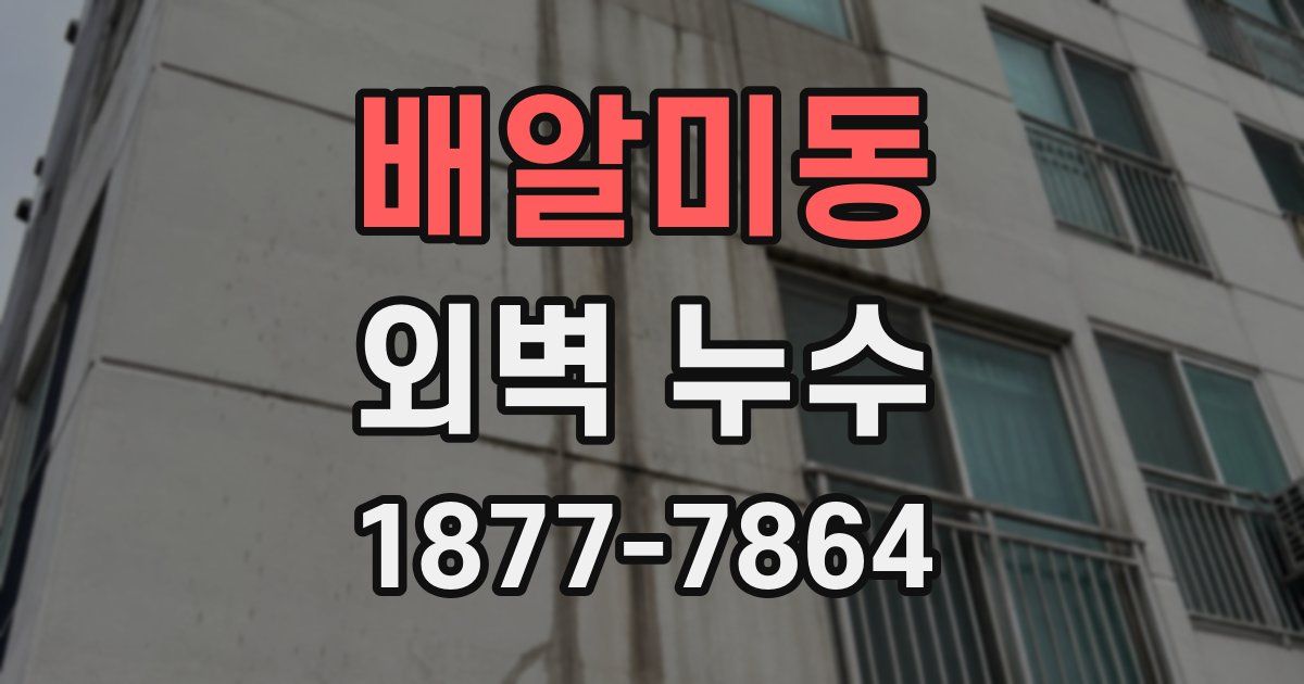 배알미동 외벽 누수