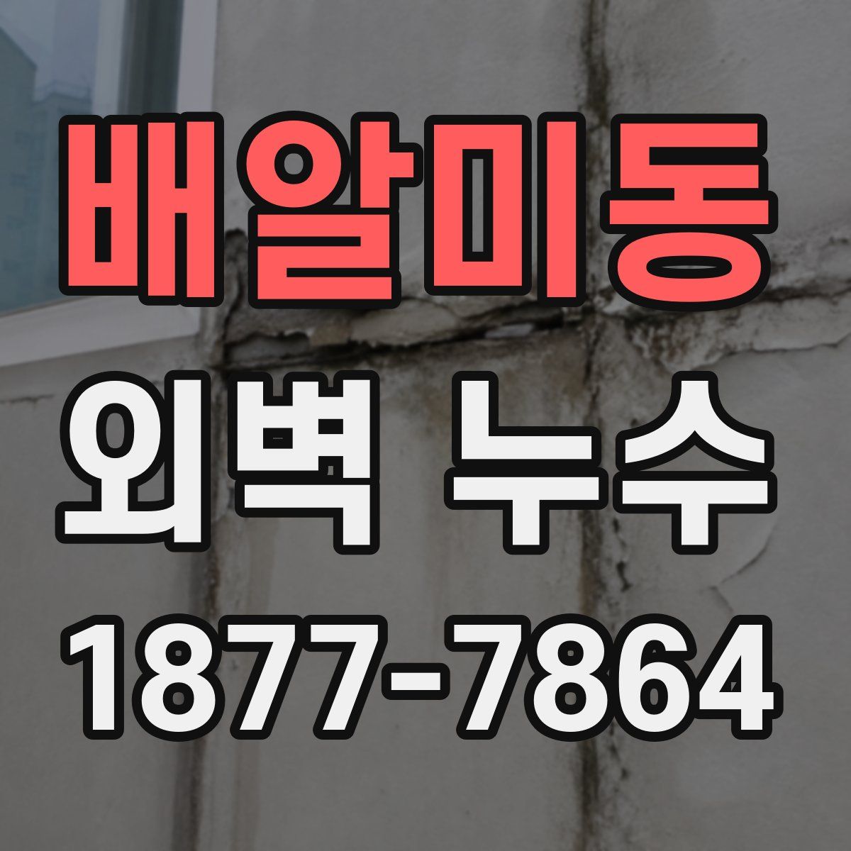 배알미동 외벽 누수