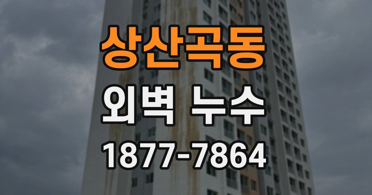 상산곡동 외벽 누수