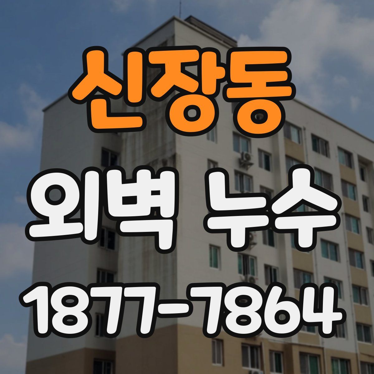 신장동 외벽 누수