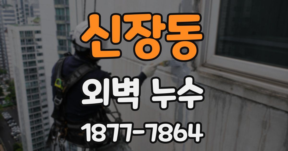 신장동 외벽 누수
