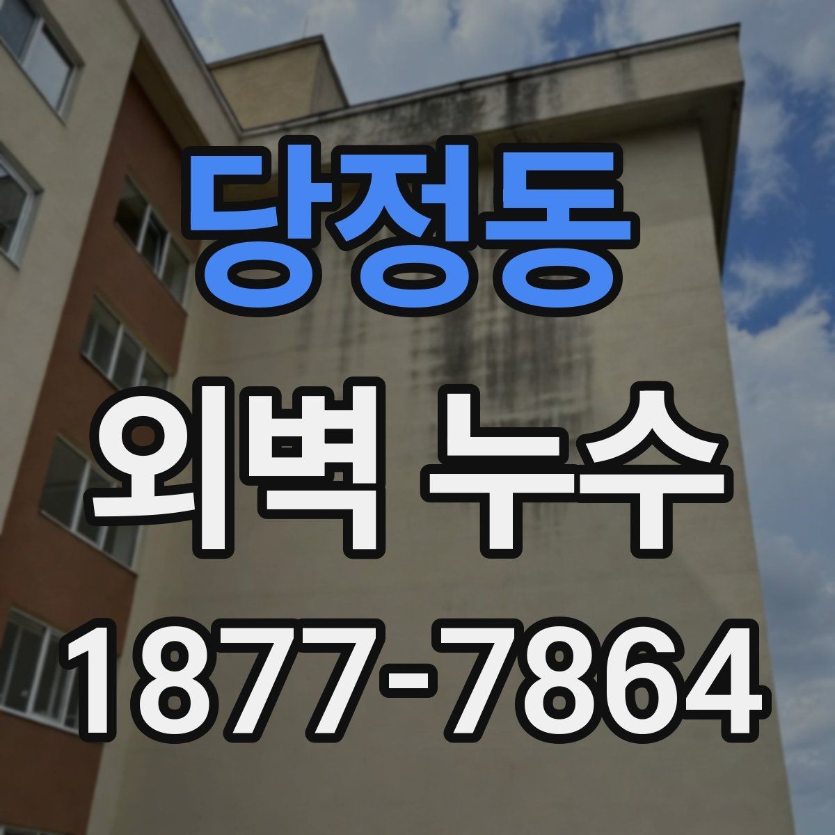 당정동 외벽 누수 원인을 찾기 어려울 때 보는 기준
