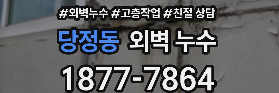 당정동 외벽 누수