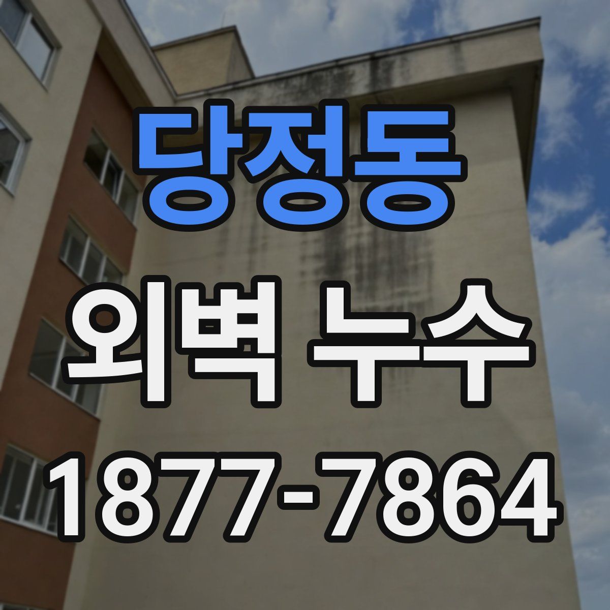 당정동 외벽 누수