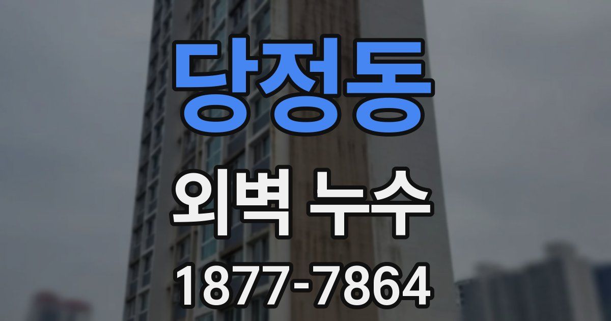 당정동 외벽 누수