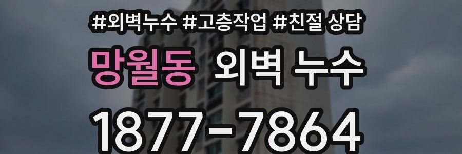 망월동 외벽 누수