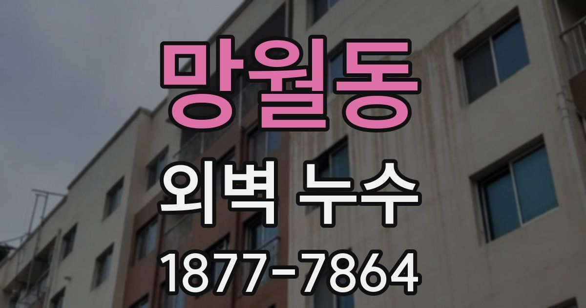 망월동 외벽 누수