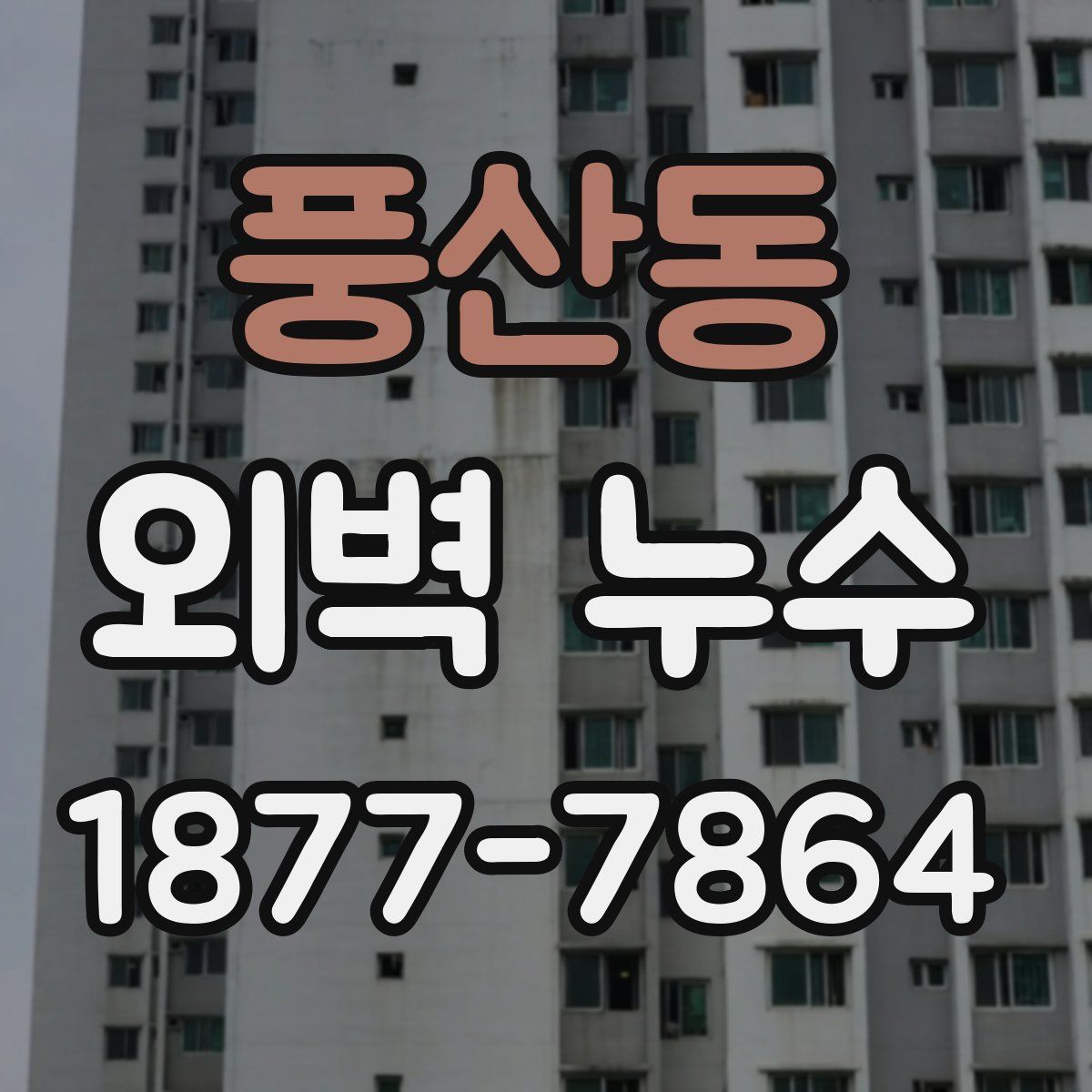 풍산동 외벽 누수