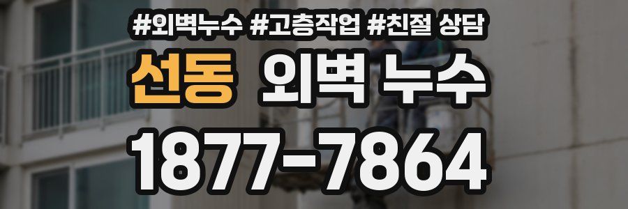 선동 외벽 누수