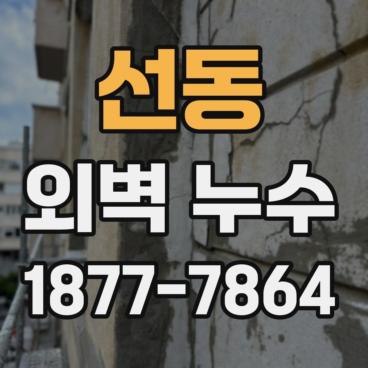 선동 외벽 누수