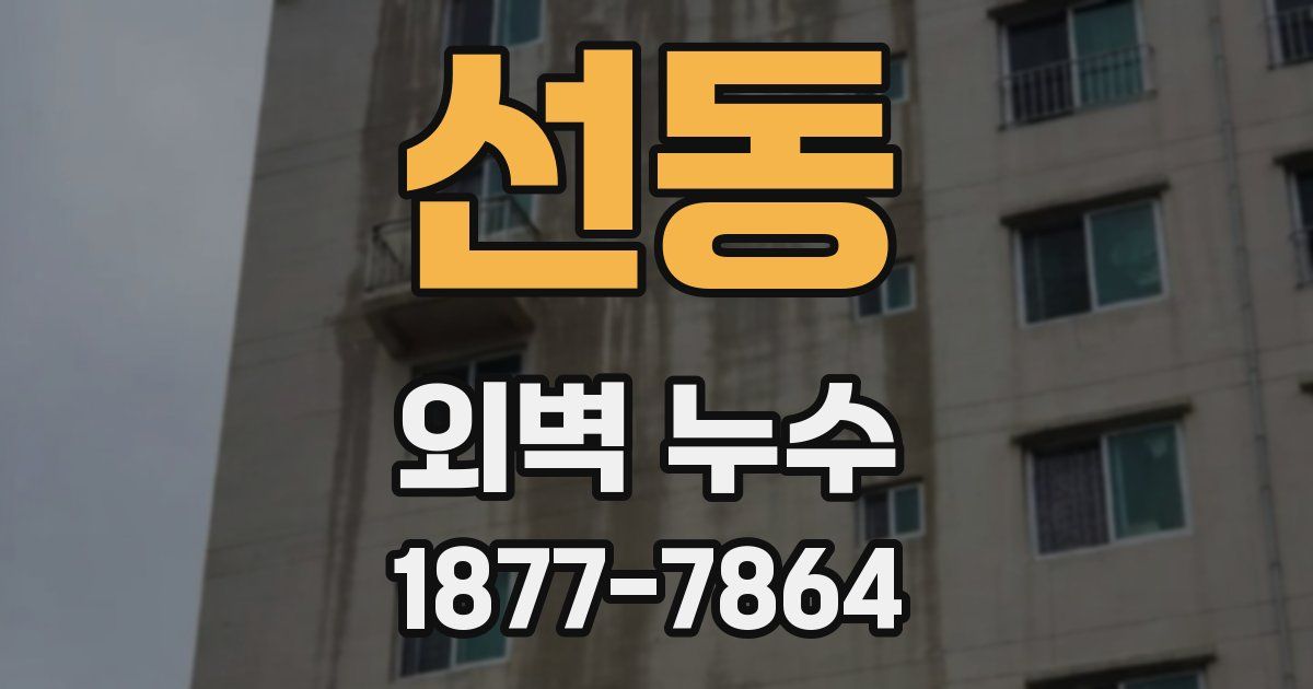 선동 외벽 누수