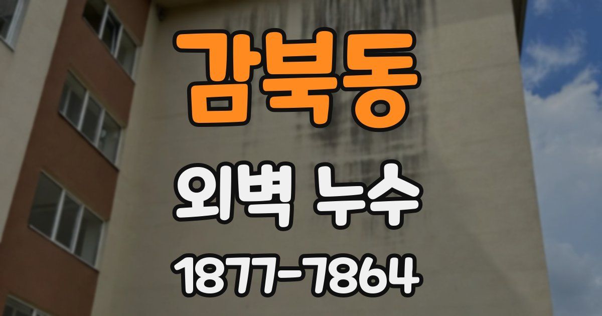 감북동 외벽 누수