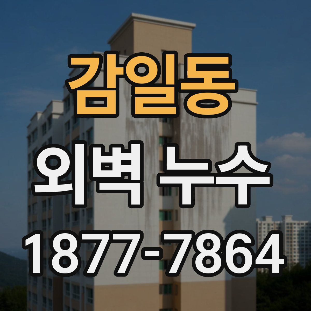 감일동 외벽 누수