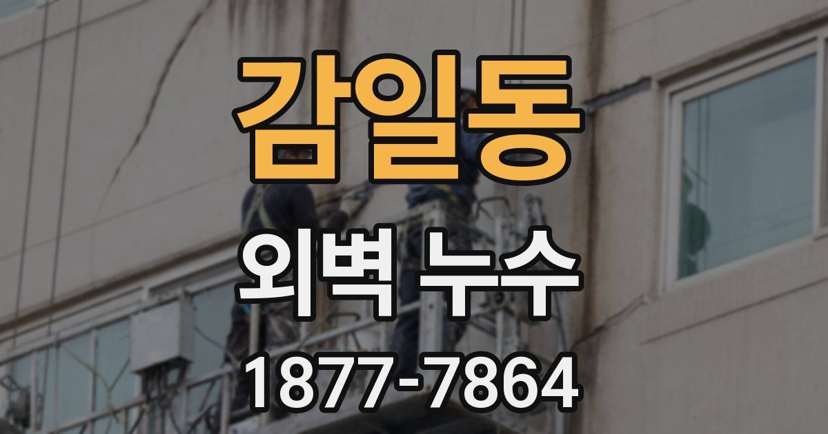 감일동 외벽 누수