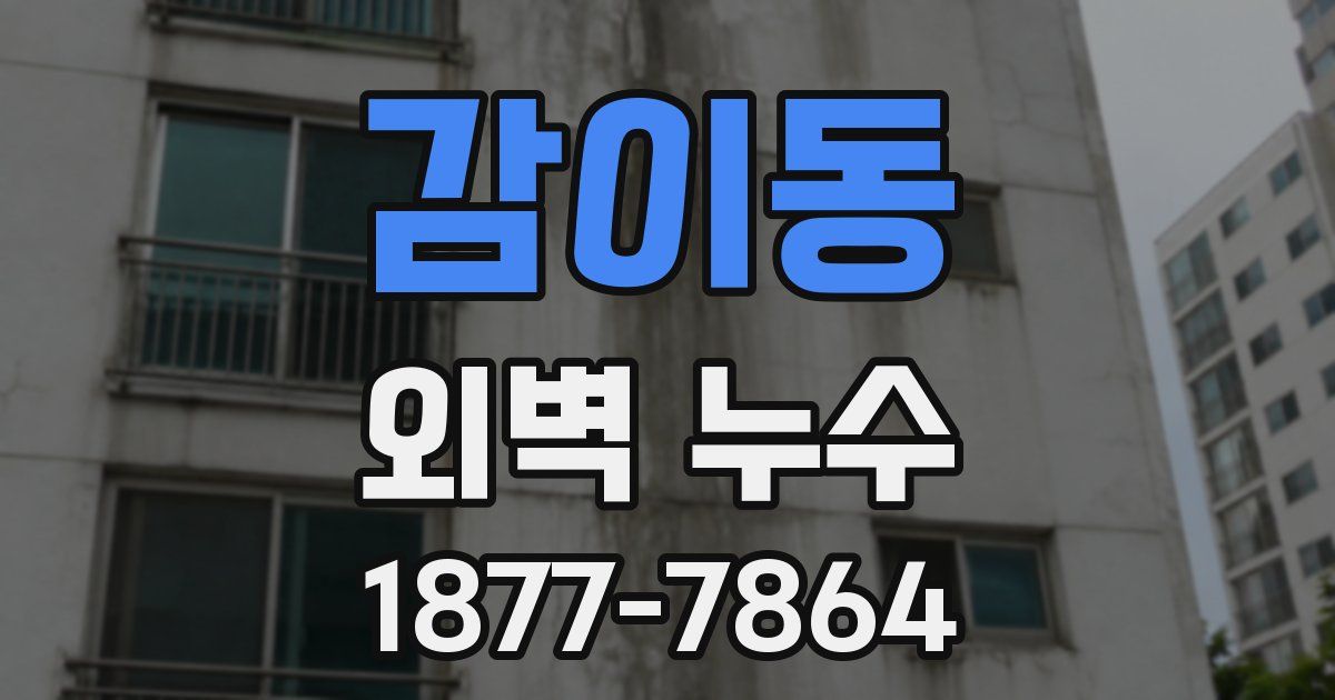 감이동 외벽 누수