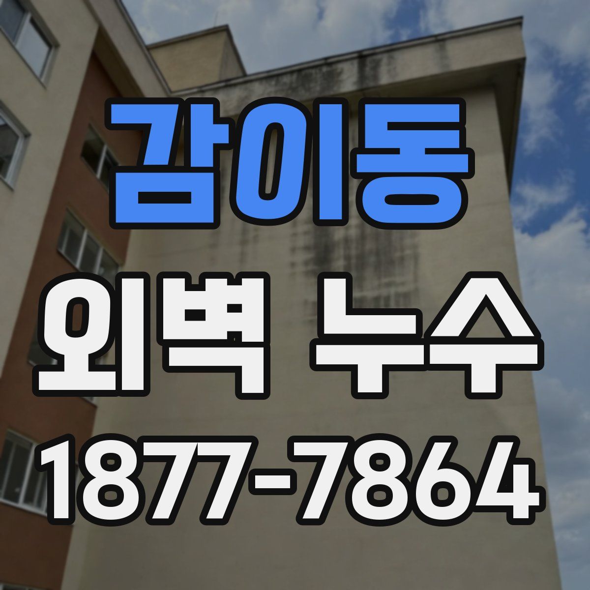 감이동 외벽 누수