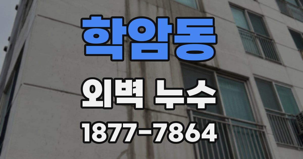 학암동 외벽 누수