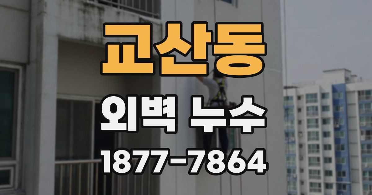 교산동 외벽 누수
