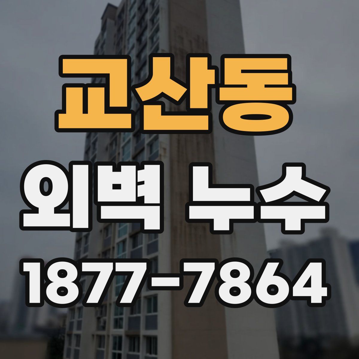 교산동 외벽 누수