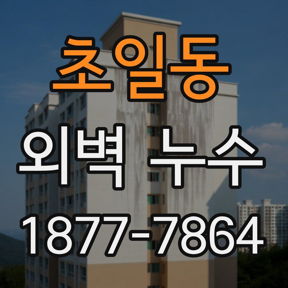 초일동 외벽 누수