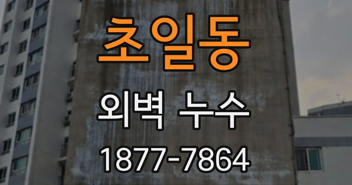 초일동 외벽 누수