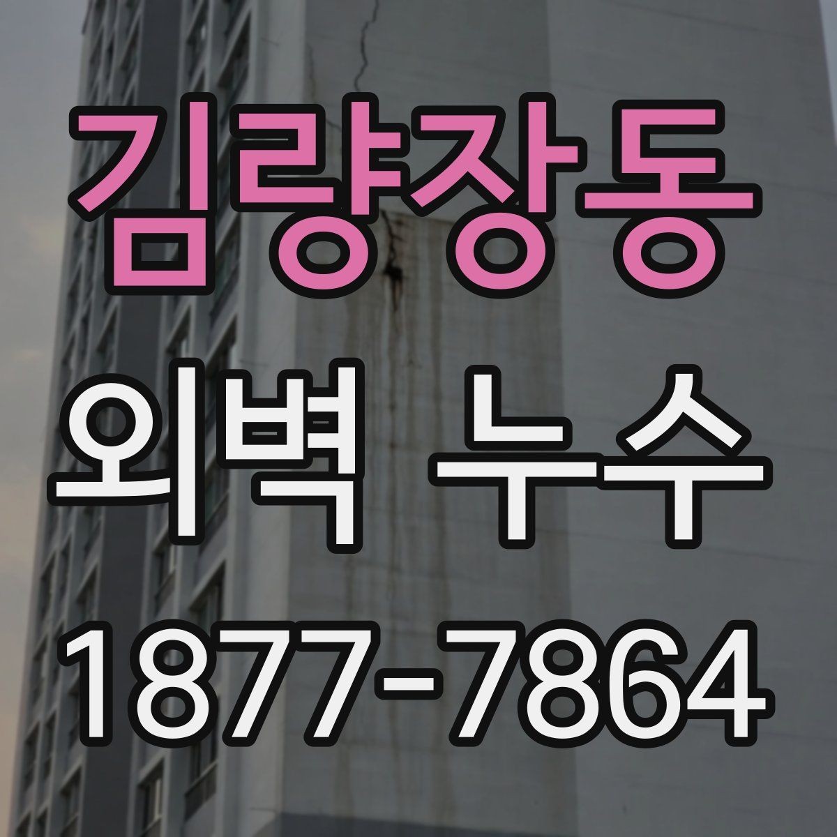 김량장동 외벽 누수 원인을 찾기 어려울 때 보는 기준