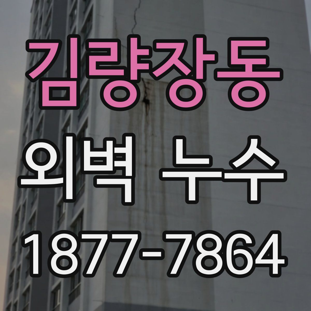 김량장동 외벽 누수