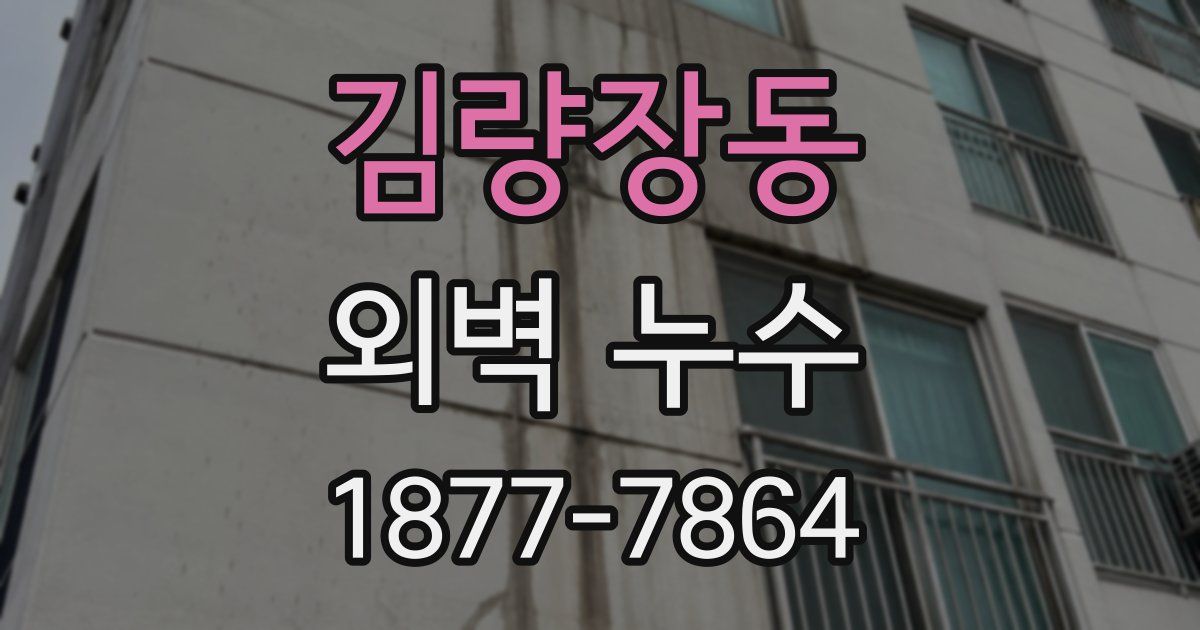 김량장동 외벽 누수