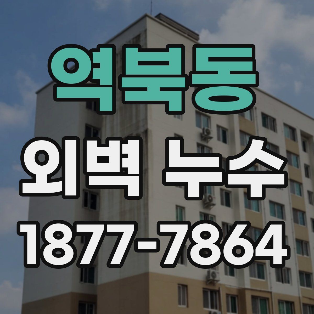 역북동 외벽 누수 현장 사례로 본 점검 과정