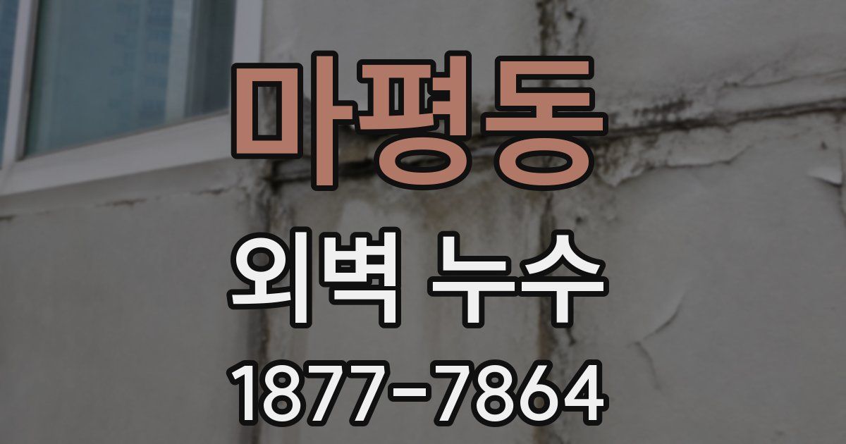 마평동 외벽 누수
