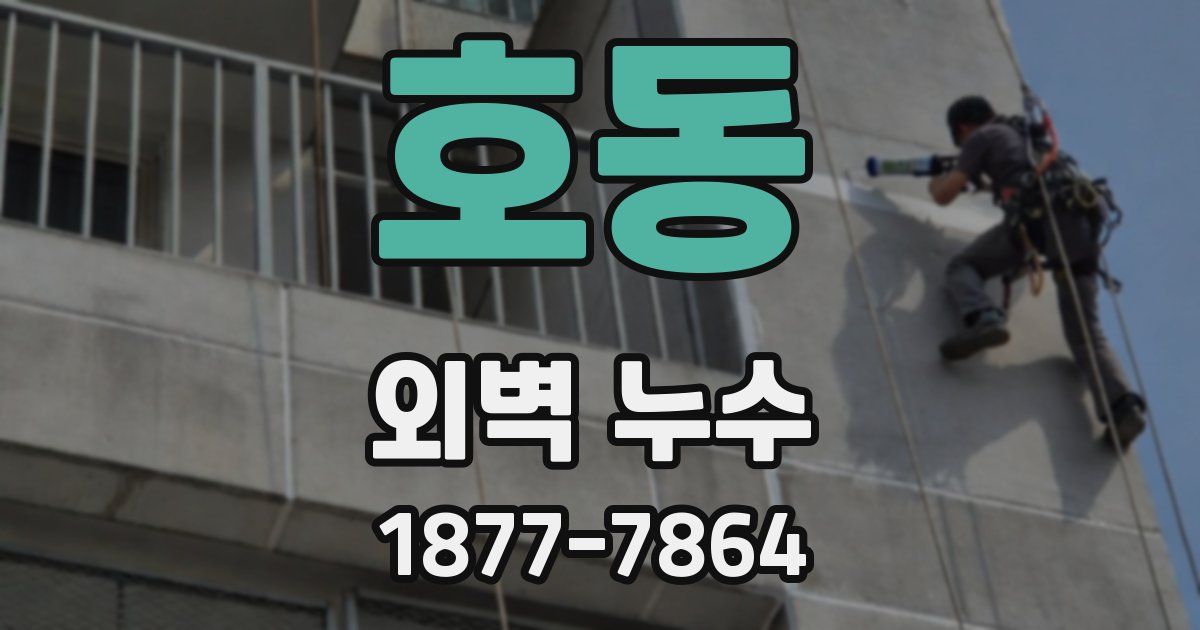 호동 외벽 누수