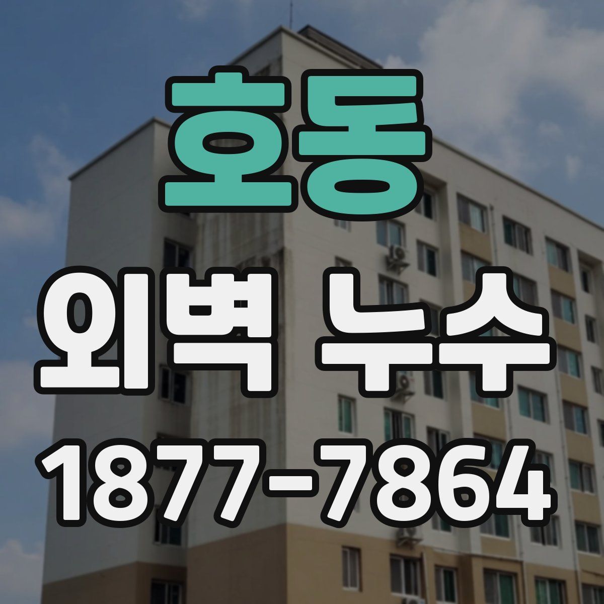 호동 외벽 누수
